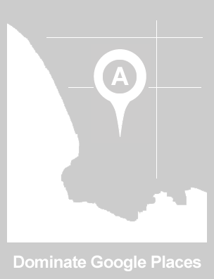 dominate google places