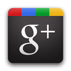 How Can Google + Help Your Business?